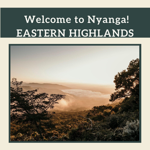 nyangaaccommodation