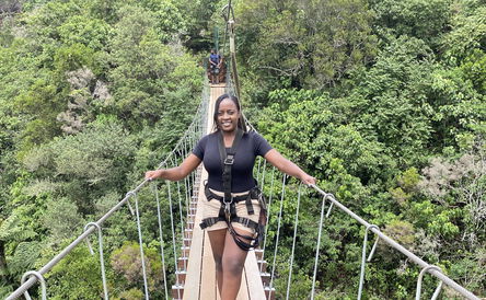 Mutarazi Falls Skywalk