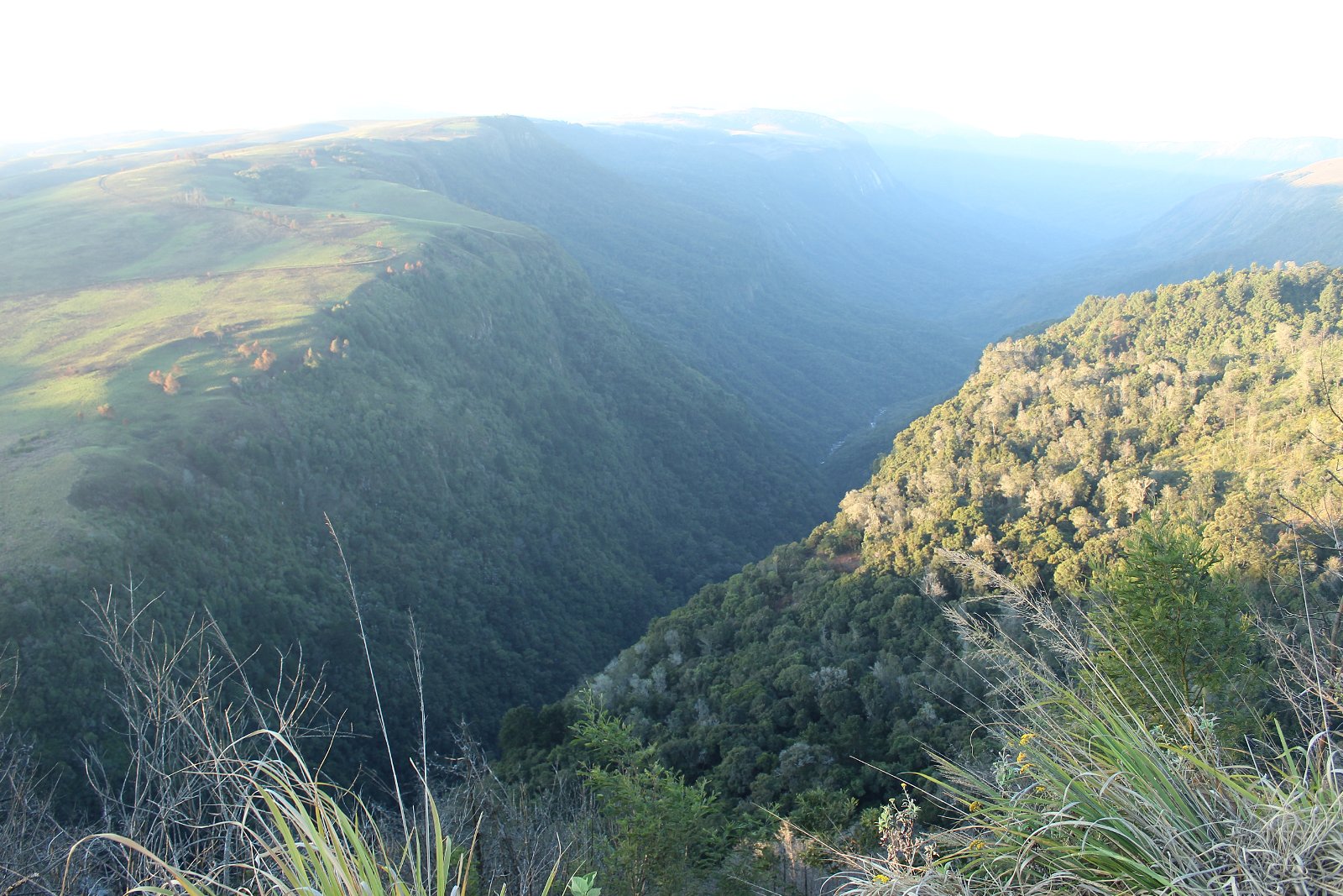 Pungwe View