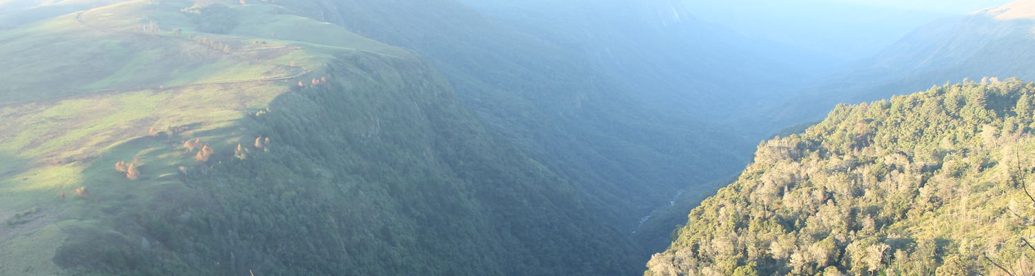Pungwe View