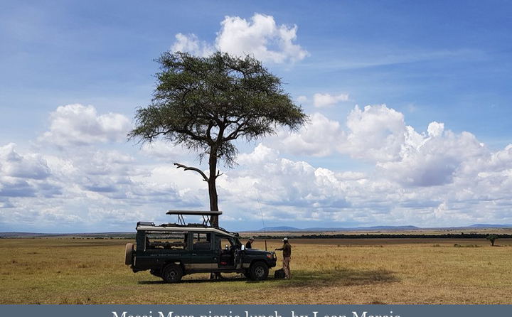 Custom African Safaris offered by by Lawsons