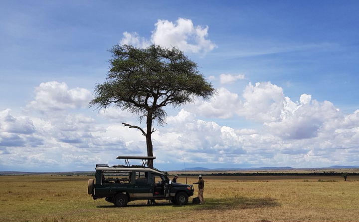 Custom African Safaris offered by by Lawsons