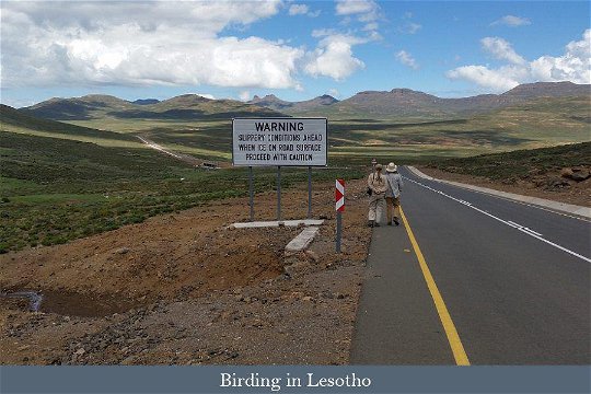 Birding tour participants in Lesotho