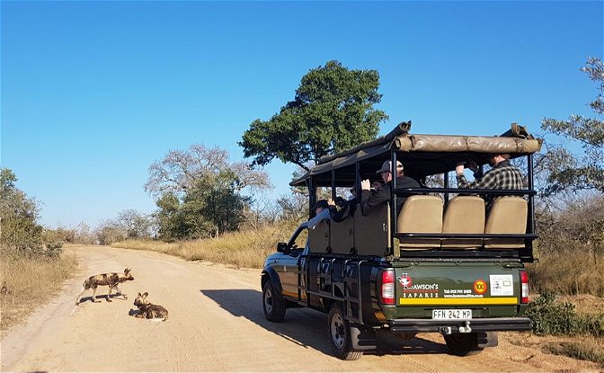 Small group Kruger National Park Safari Tour