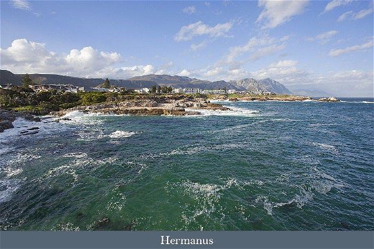 Hermanus, the Whale capital of South Africa
