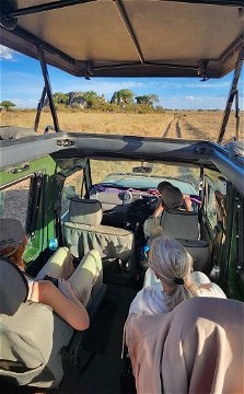 On safari in the Serengeti. 