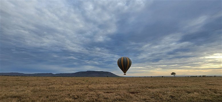 Hot air balloon safari. 