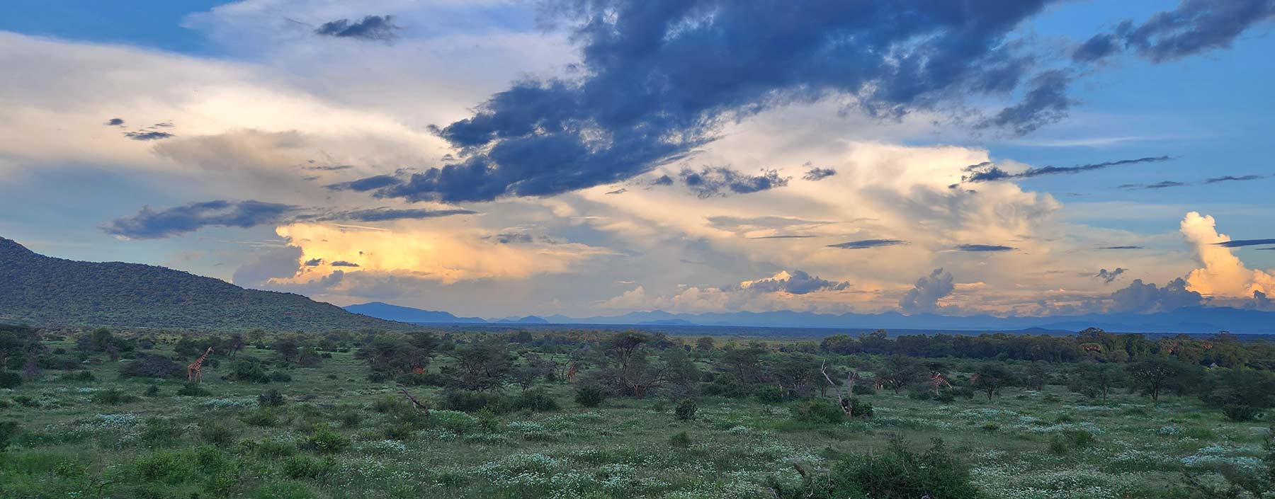 African Safari Seasons