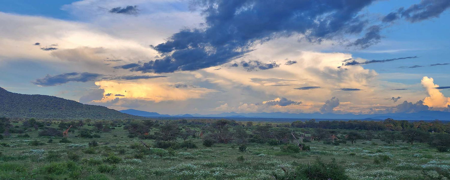 African Safari Seasons