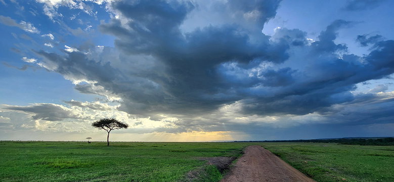 Masai Mara scenery. Masai Mara scenery.
