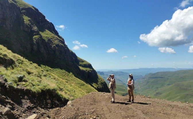 Custom Southern and Eastern Africa Birding & Wildlife Safaris