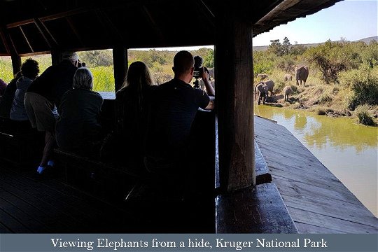 Tour participants viewing Elephants from a hide