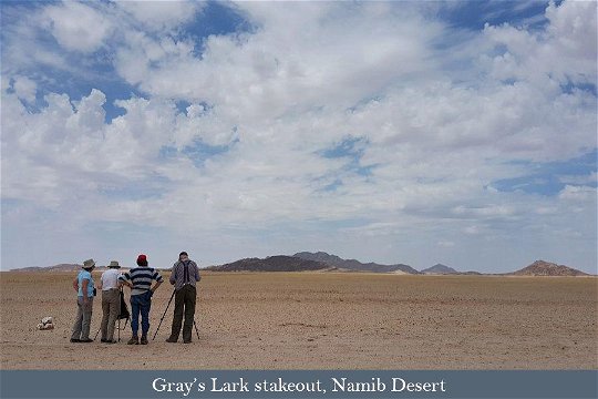 Tour participants in the Namib Desert