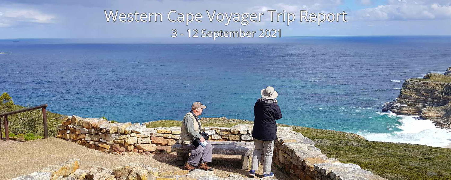 Our clients at Cape Point.