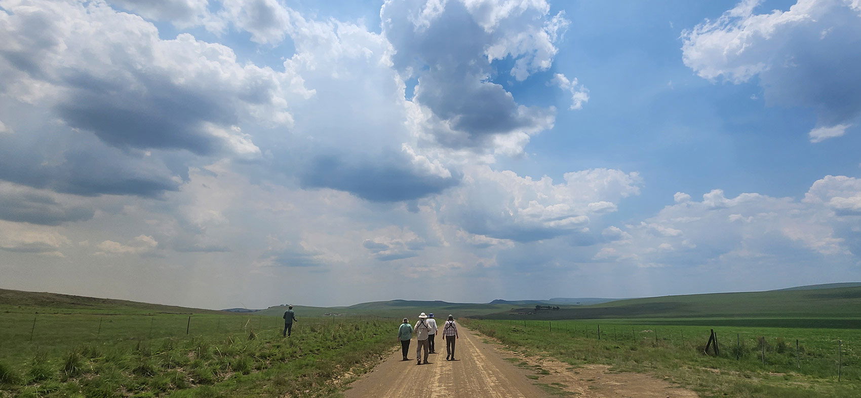 Birding in Wakkerstroom. 