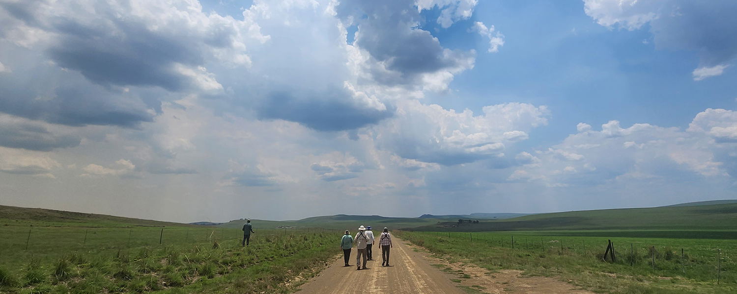 Birding in Wakkerstroom. 