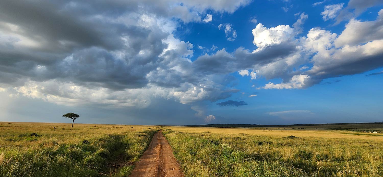 Masai Mara Safari