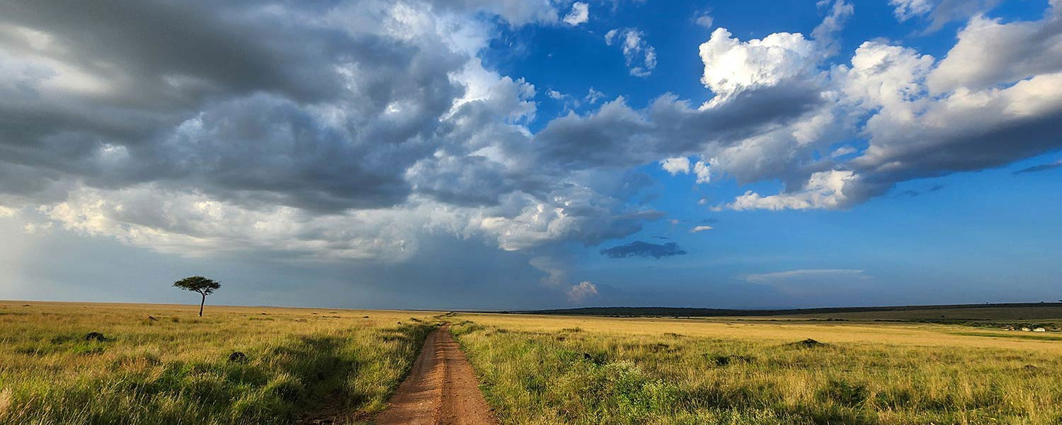 Masai Mara Safari