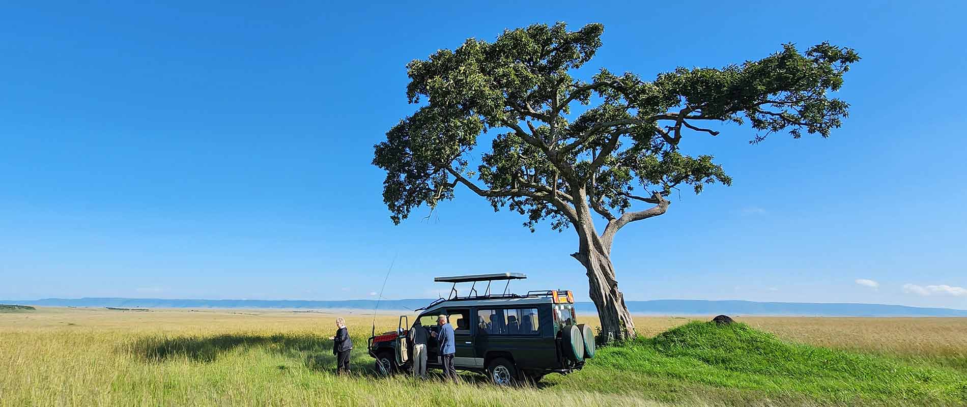 Maasai Mara Trips, Tours and Safaris
