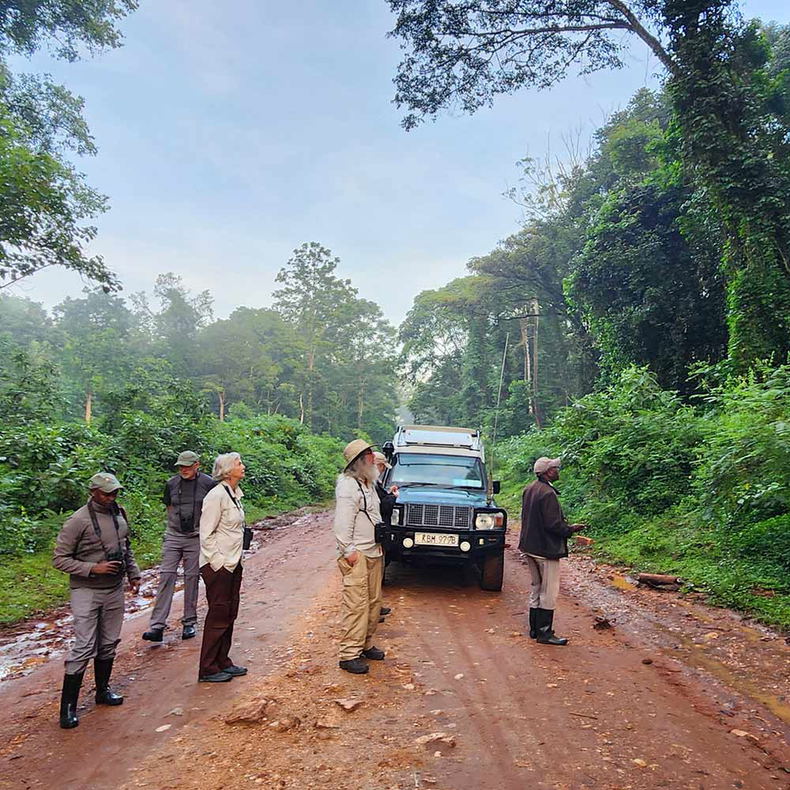 Birding in Kenya. Birding in Kenya.