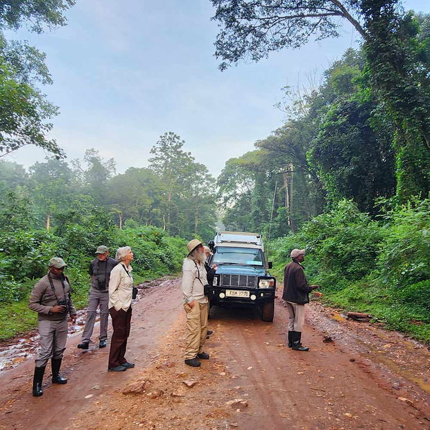 Birding in Kenya. Birding in Kenya.