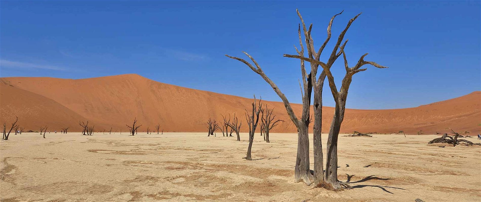 Namibia