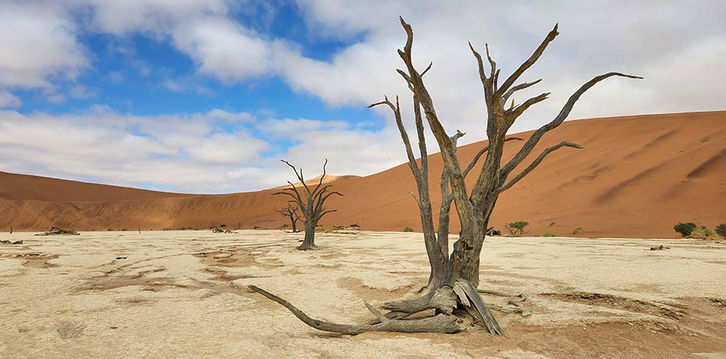 Deadvlei, one of Namibia's top attractions. 