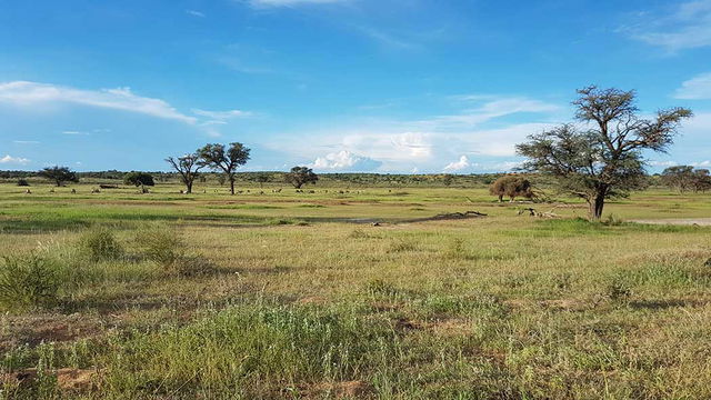 Kgalagadi Transfrontier Park in the Wet Season. 