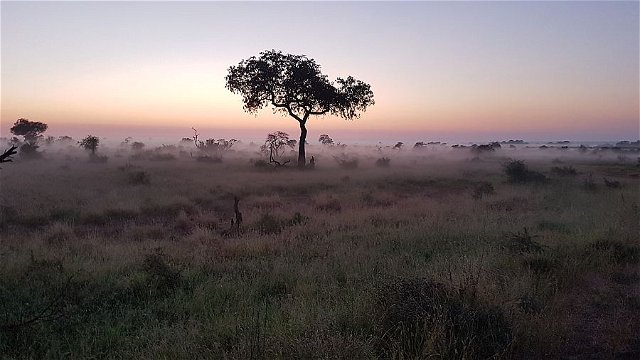 Heading out of Satara camp on a dawn safari