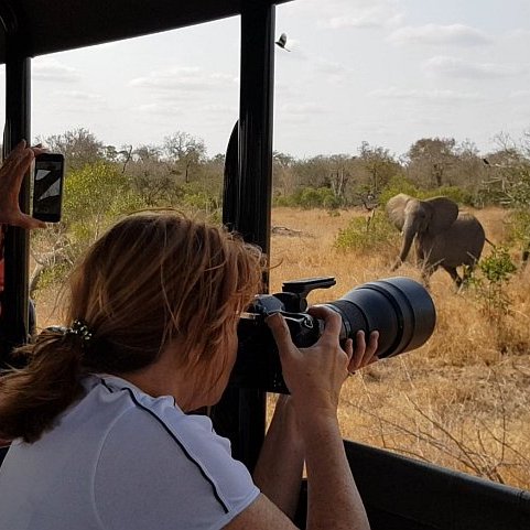 Safari moments in the Kruger National Park Safari moments in the Kruger National Park