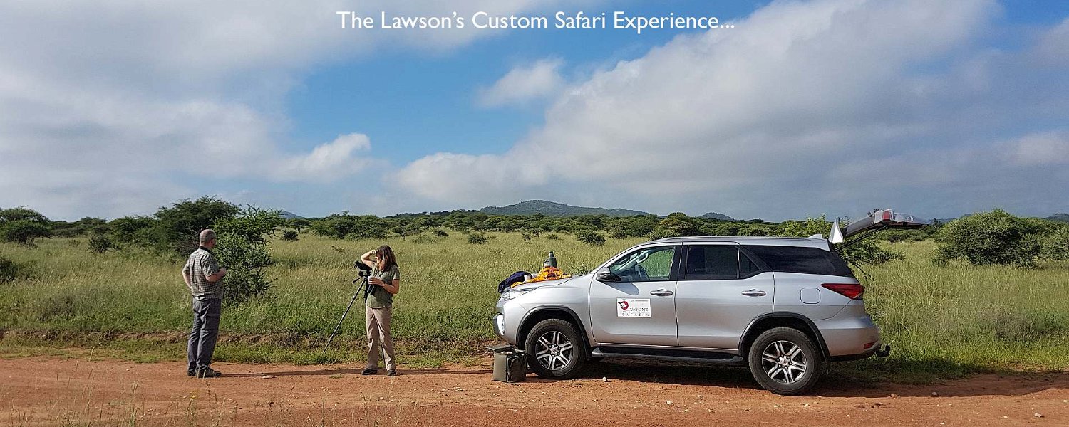 Custom Safari in South Africa