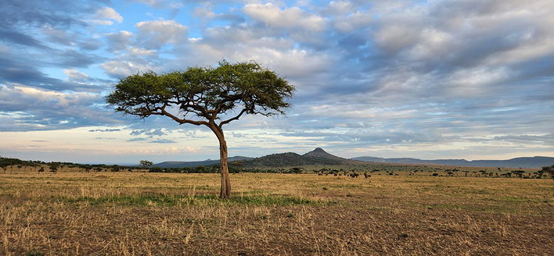 The beautiful Serengeti. 