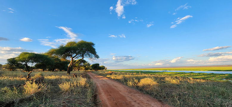 Tarangire NP. 