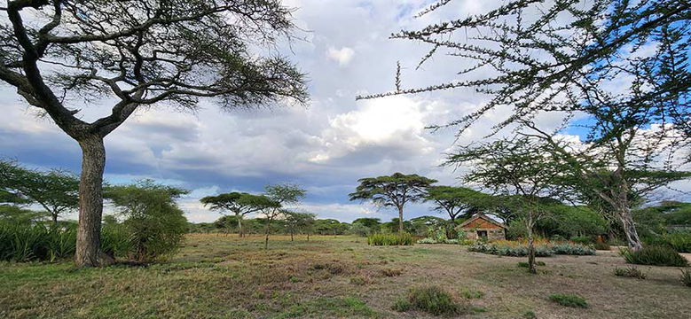 Ndutu Safari Lodge. 