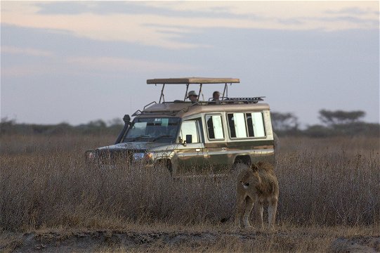On safari, Ndutu