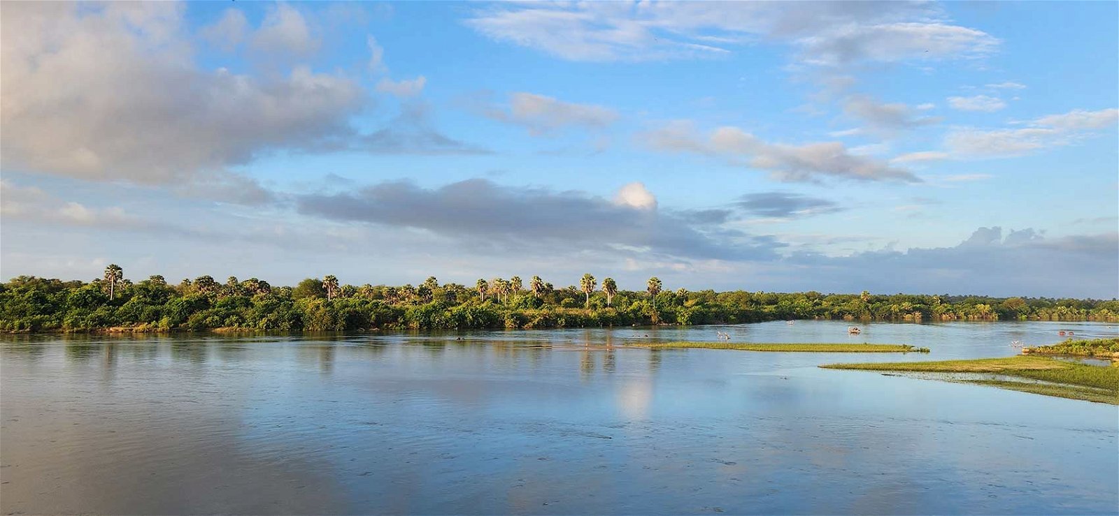 Rufiji River, Nyerere NP safari