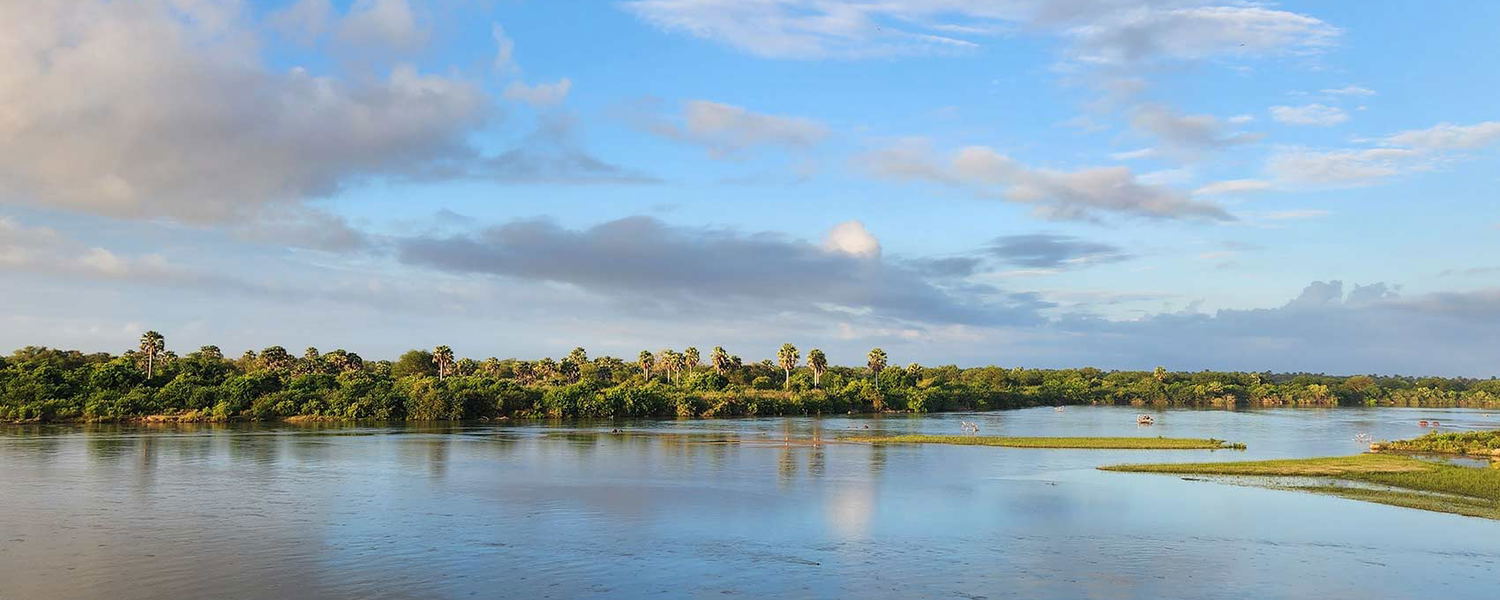 Rufiji River, Nyerere NP safari