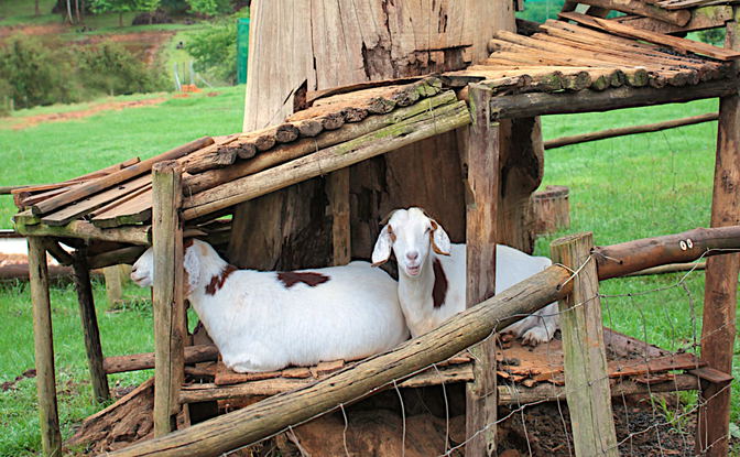 Mary & Joseph