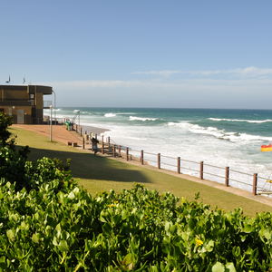 The Area