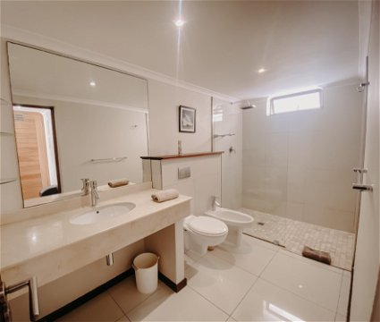 Bathroom with large shower and bidet