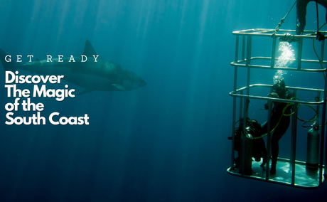 Timeless Lodge & Shark Diving at Aliwal Shoal Timeless Lodge & Shark Diving at Aliwal Shoal