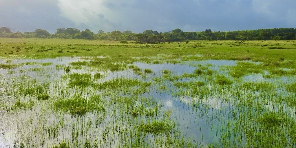 St Lucia Wetlands wetlands at Makakatana in the iSimangaliso Wetland Park