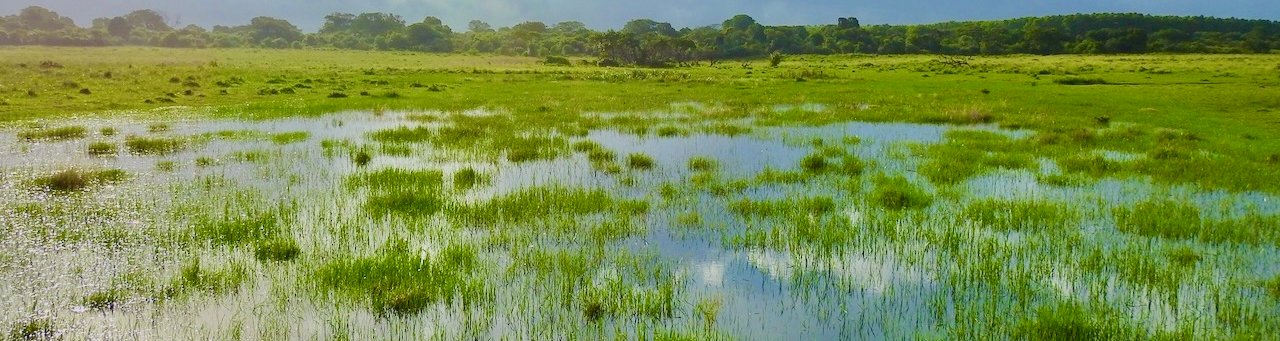 St Lucia Wetlands wetlands at Makakatana in the iSimangaliso Wetland Park