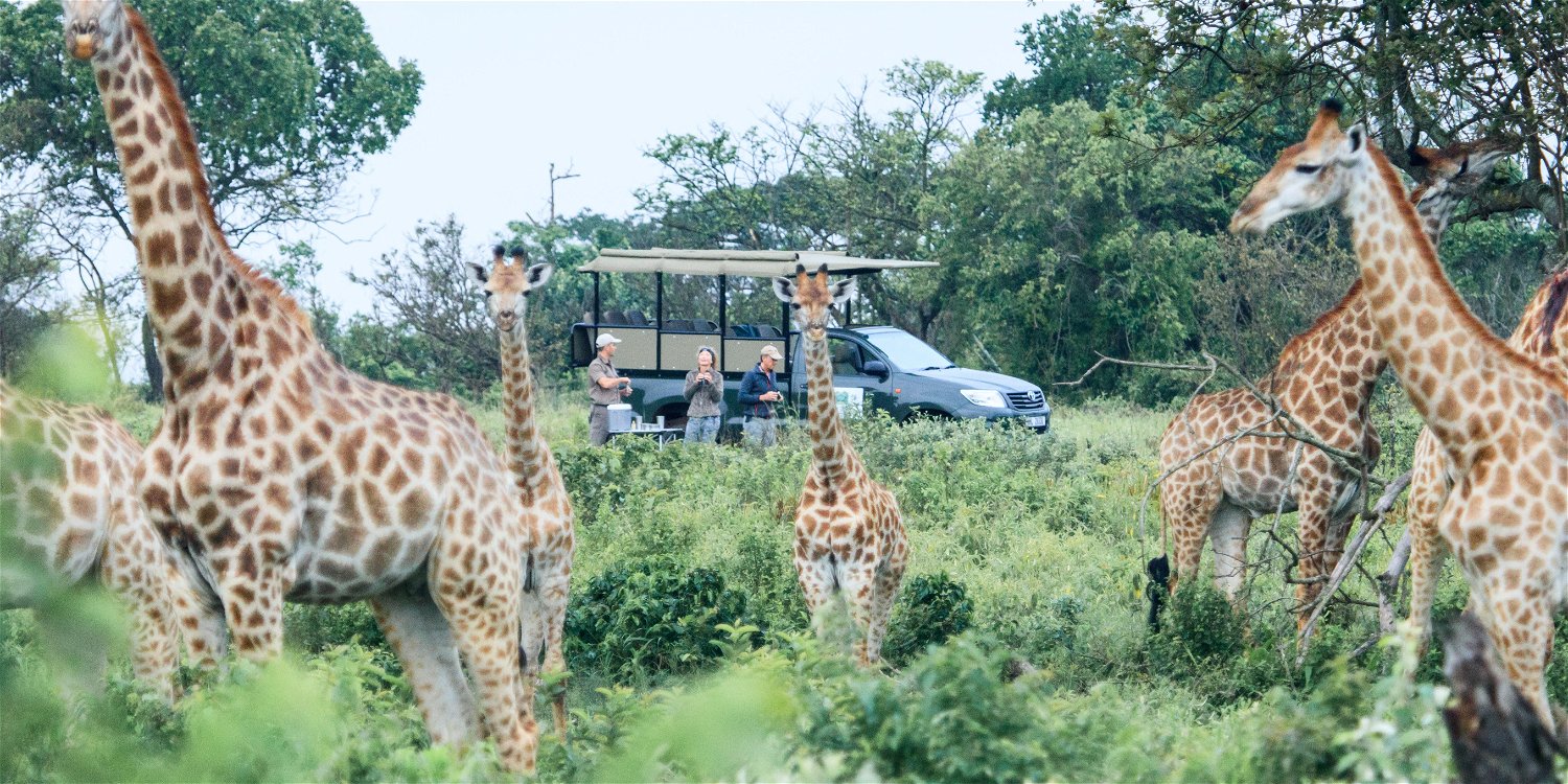 Makakatana Safari wildlife nature getaway