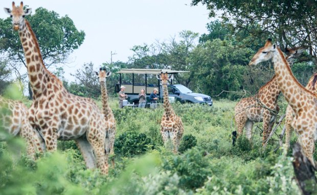 Makakatana Safari wildlife nature getaway