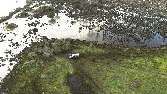 Safari Drive in the Wetlands at Makakatana Bay Lodge, iSimangaliso Wetland Park, KZN