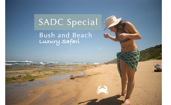 Summer Bush and Beach Special Offer