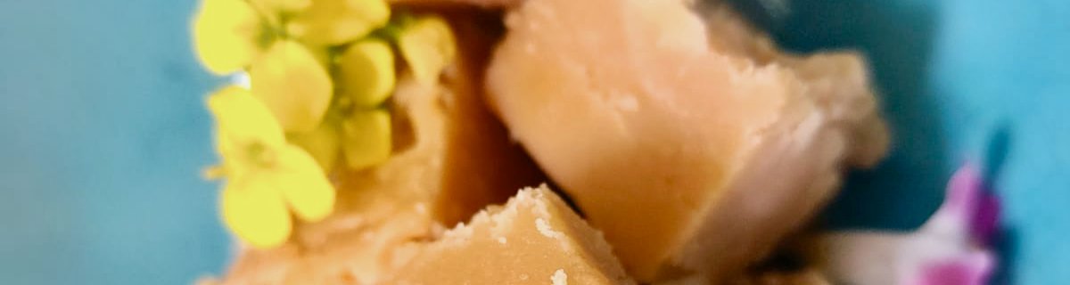 Vegan Fudge recipes made at Makakatana for safari guests