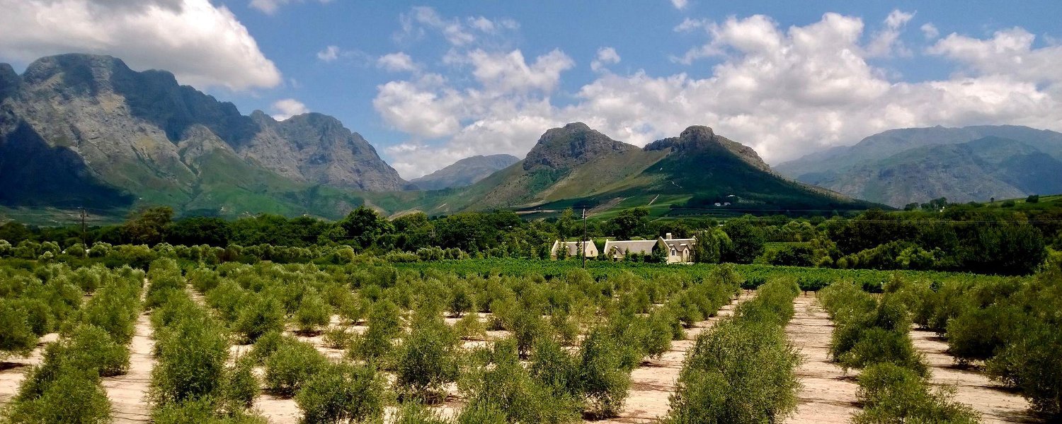 Luxury accommodation in the heart of the beautiful Franschhoek Valley