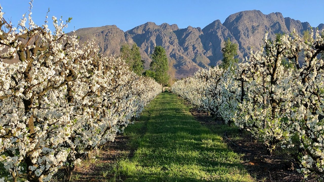 Farm stay in Franschhoek